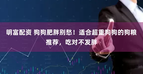 明富配资 狗狗肥胖别愁！适合超重狗狗的狗粮推荐，吃对不发胖